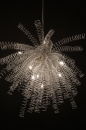 bekijk artikel Hanglampen/Hanglamp: 57778