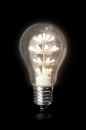 bekijk artikel LED en  E-zuinig/met LED lampen: 84883