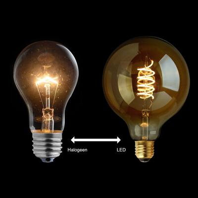kalkoen Misbruik astronomie Halogeen vervangen door LED: in alle opzichten een goed idee | Rietveld  Licht