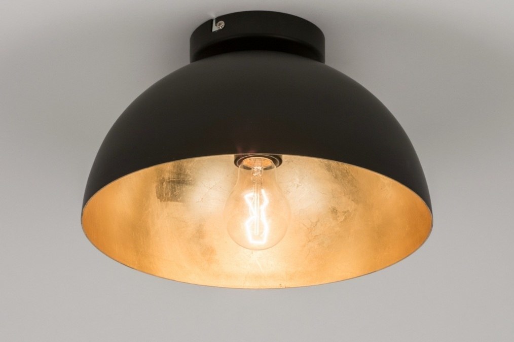 Ceiling lamp 72496: rustic, modern, contemporary classical, metal #0