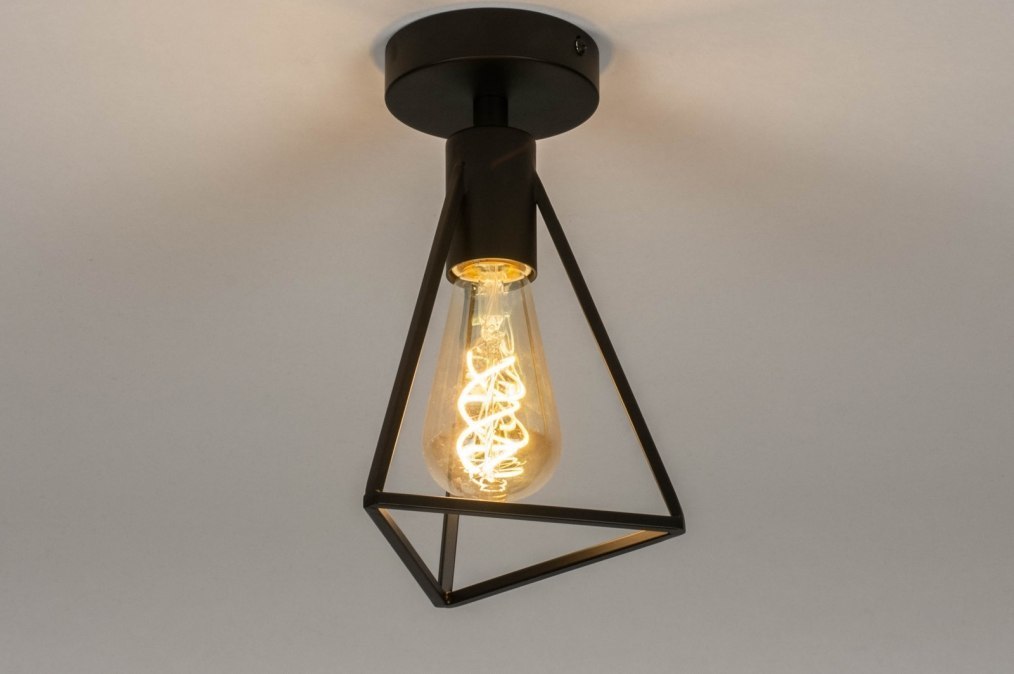 Ceiling Lamp 73418