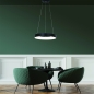 Hanglamp 14101: design, modern, kunststof, metaal #10