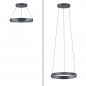 Foto 15362-1: Moderne led hanglamp met elektrische hoogteverstelling