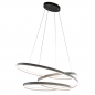 Foto 15444-4: Grote ovale led hanglamp in het zwart