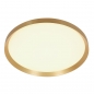 Foto 15628-2: Platte ronde plafondlamp met messing/goud 