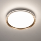 Foto 15764-2: Ronde led plafondlamp met gouden rand – luxe, modern en energiezuinig