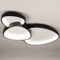Foto 15800-4: Extra grote plafondlamp in het zwart met organische vormen