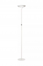 Foto 15852-1: Moderne led uplighter vloerlamp zonder leeslamp, dimbaar met touchdimmer 