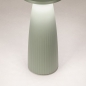 Foto 16096-13: Zartgrüne Tischlampe und Vase in einem; kabellos und einfach aufladbar!
