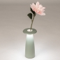 Foto 16096-5: Zartgrüne Tischlampe und Vase in einem; kabellos und einfach aufladbar!