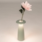 Foto 16096-6: Zartgrüne Tischlampe und Vase in einem; kabellos und einfach aufladbar!