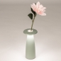 Foto 16096-7: Zartgrüne Tischlampe und Vase in einem; kabellos und einfach aufladbar!