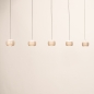 Foto 16118-7: Beige hanglamp met vijf lichtpunten, een Easy Lift systeem en een Dim to Warm functie