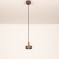 Foto 16130-3: Bruine hanglamp geschikt voor zowel binnen- als buitengebruik