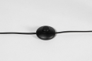 Foto 30972-9: Zwarte staande lamp met rookglas 