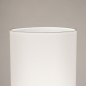 Foto 31552-10: Beigefarbene Stehlampe mit hohem schmalen Schirm in Weiß