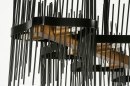 Hanglamp 73696: design, modern, eigentijds klassiek, metaal #11