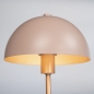 Foto 75137-5 niet_in_feed: Kleine mushroom tafellamp in roze met messing 