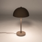 Foto 75678-2 niet_in_feed: Bruine tafellamp Mushroom van metaal