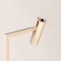 Foto 75824-10: Strakke beige vloerlamp met verstelbare spot