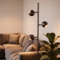 Foto 75864-1: Geborsteld koffiebruine staande vloerlamp met drie verstelbare spots