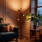 Foto 75864-2: Geborsteld koffiebruine staande vloerlamp met drie verstelbare spots
