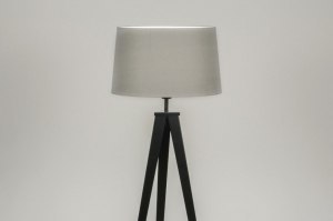 Lumidora Pendant Ceiling Wall Lampany Other Beautiful Floor Lamps