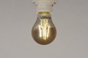 lichtbron 338 glas