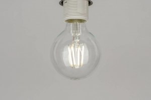 light bulb 72483 glass clear glass