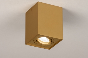 spot 74140 landelijk modern eigentijds klassiek messing (kleur) geschuurd aluminium goud messing (kleur) langwerpig
